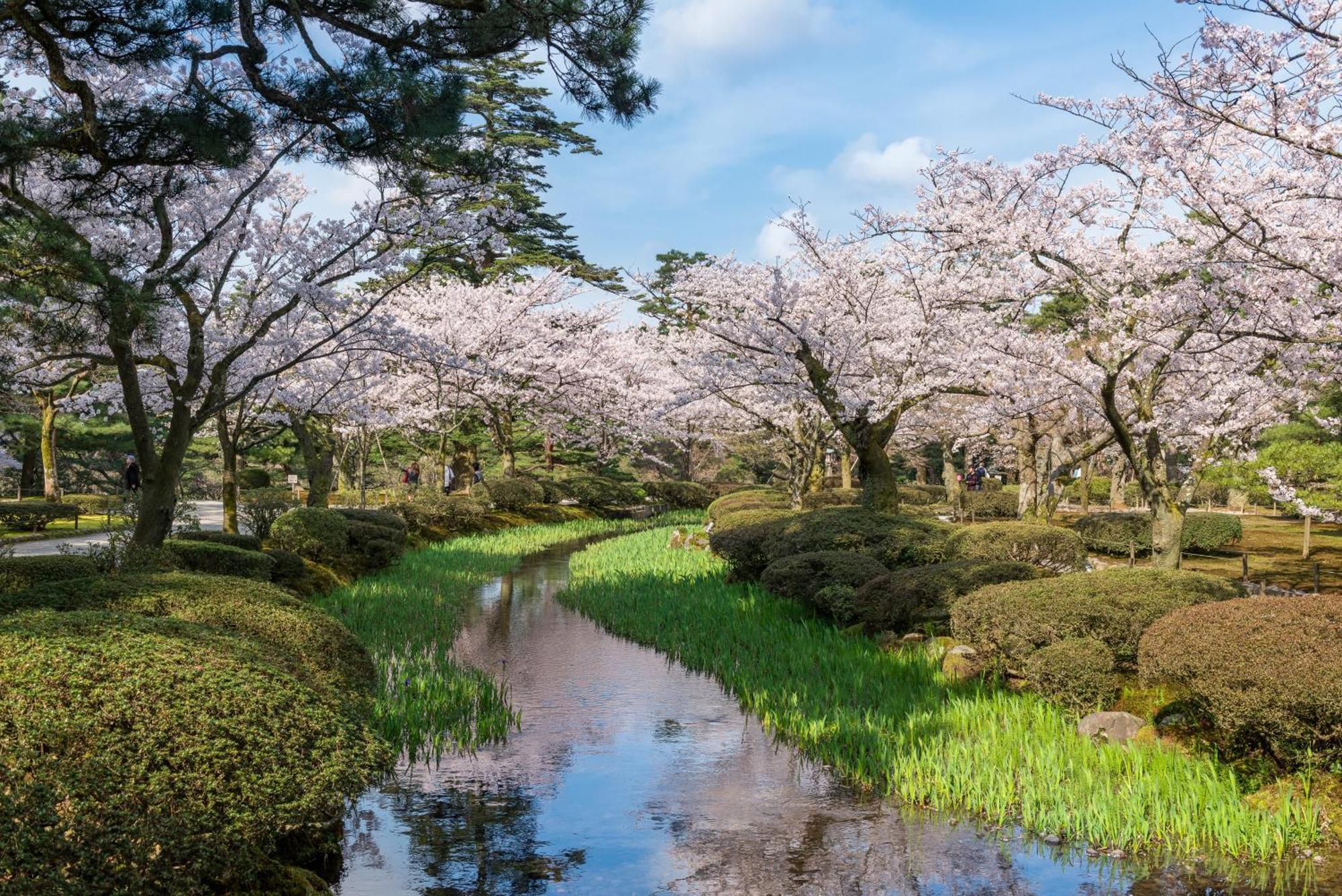 Tokyu Stay Kanazawa Eksteriør bilde
