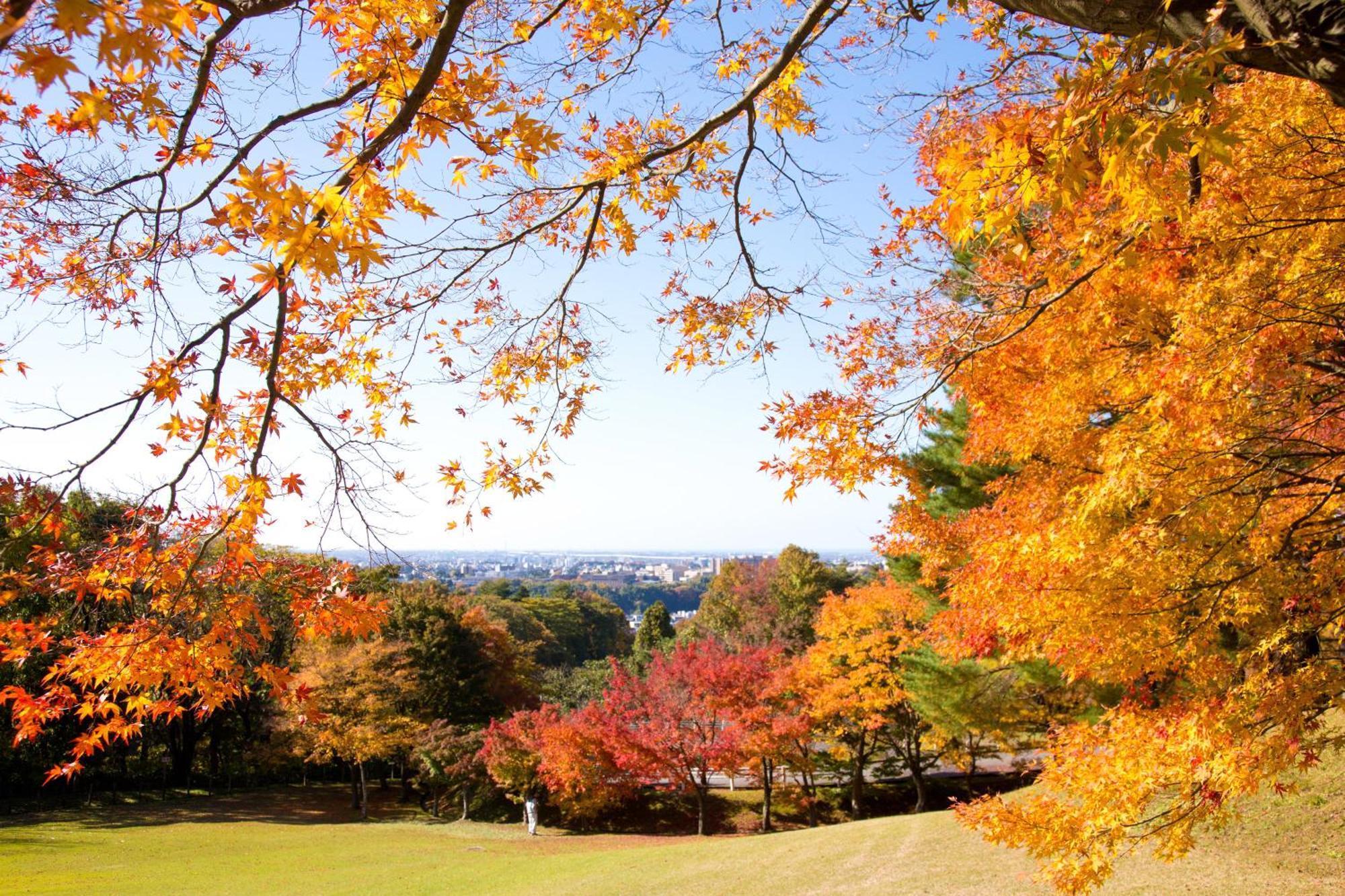 Tokyu Stay Kanazawa Eksteriør bilde